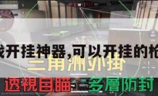 枪战游戏开挂神器,可以开挂的枪战游戏。