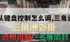 三角洲部队键盘控制怎么调,三角洲电脑键位图。