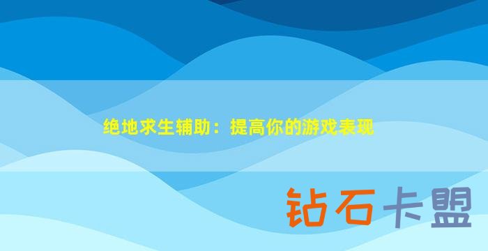 绝地求生辅助工具如何提高你的游戏表现？