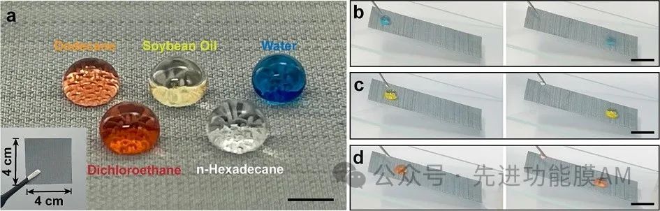 辅助网：油水分离新招！液体辅助策略大揭秘