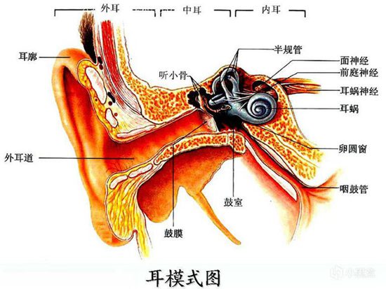 绝地求生透视现象深度剖析：成因、影响及应对策略解析