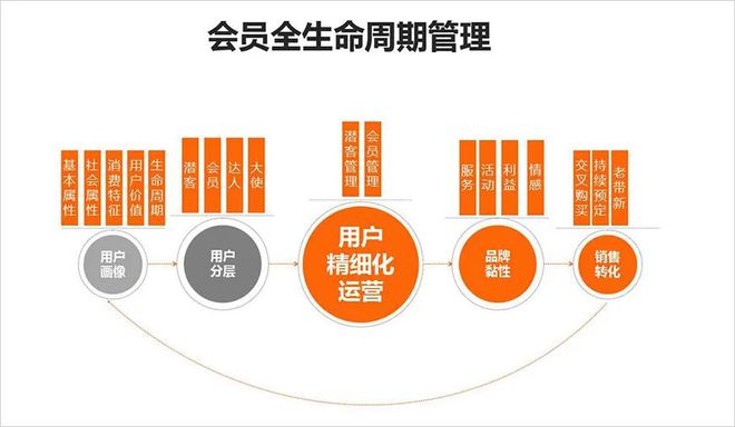 LOL外挂卡盟现象剖析：原因、影响与解决途径详解