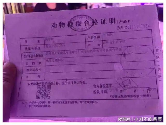 永劫无间黑号现象：网络安全的重大挑战与应对策略