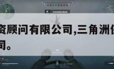 三角洲投资顾问有限公司,三角洲保险经纪有限责任公司。