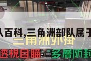 三角洲部队百科,三角洲部队属于什么军种。