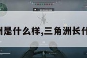三角洲是什么样,三角洲长什么样。