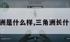 三角洲是什么样,三角洲长什么样。