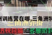 手游三角洲训练营在哪,三角洲特训营在哪。