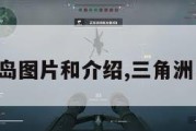 三角洲岛图片和介绍,三角洲岛岛主。