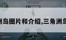 三角洲岛图片和介绍,三角洲岛岛主。