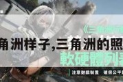 三角洲样子,三角洲的照片。