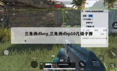 三角洲dboy,三角洲dbp10几级子弹。